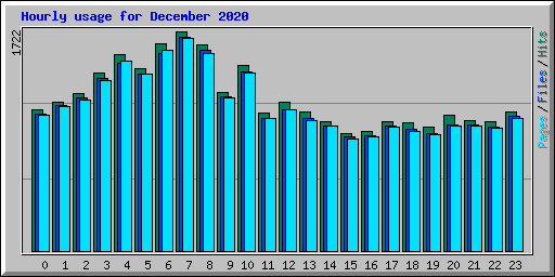 Hourly usage for December 2020