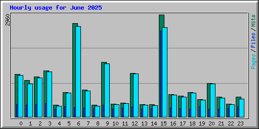 Hourly usage for June 2025
