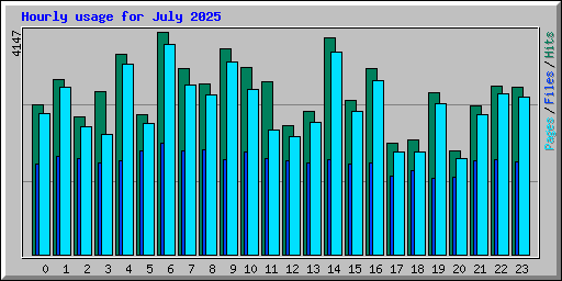 Hourly usage for July 2025