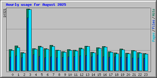Hourly usage for August 2025