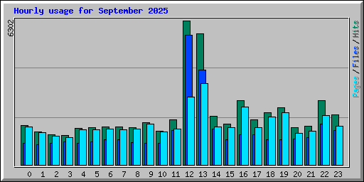 Hourly usage for September 2025