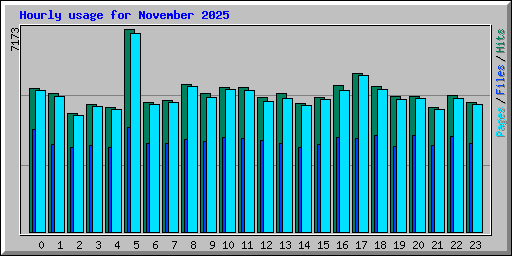 Hourly usage for November 2025