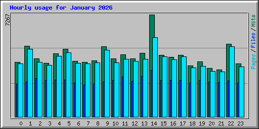 Hourly usage for January 2026