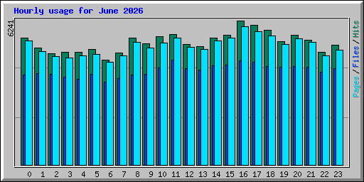 Hourly usage for June 2026